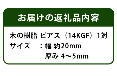 森の贈り物 木の樹脂 ピアス　TR-12-2