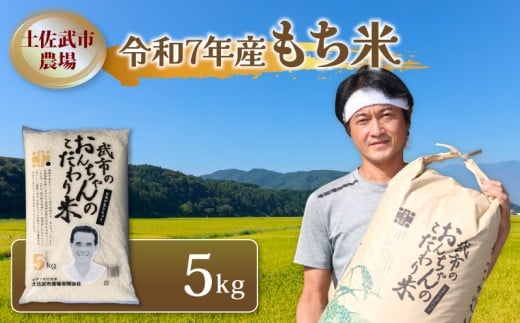 令和7年度 もち米 5キロ 数量限定 餅米 もちごめ 白米 高知県 南国市