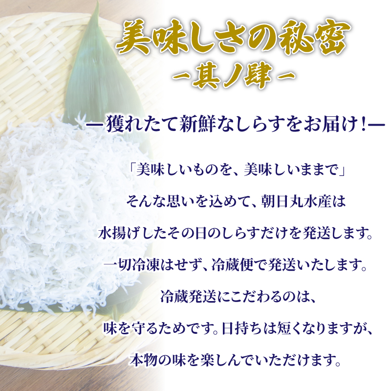 しらす 釜揚げ 定期便 計600g 200g ×3回 先行予約 ちりめんじゃこ じゃこ しらす ちりめん 小魚 魚 海鮮 魚介類 魚貝 シーフード いわし 鰯 おかず おつまみ 惣菜 弁当 ご飯 のお