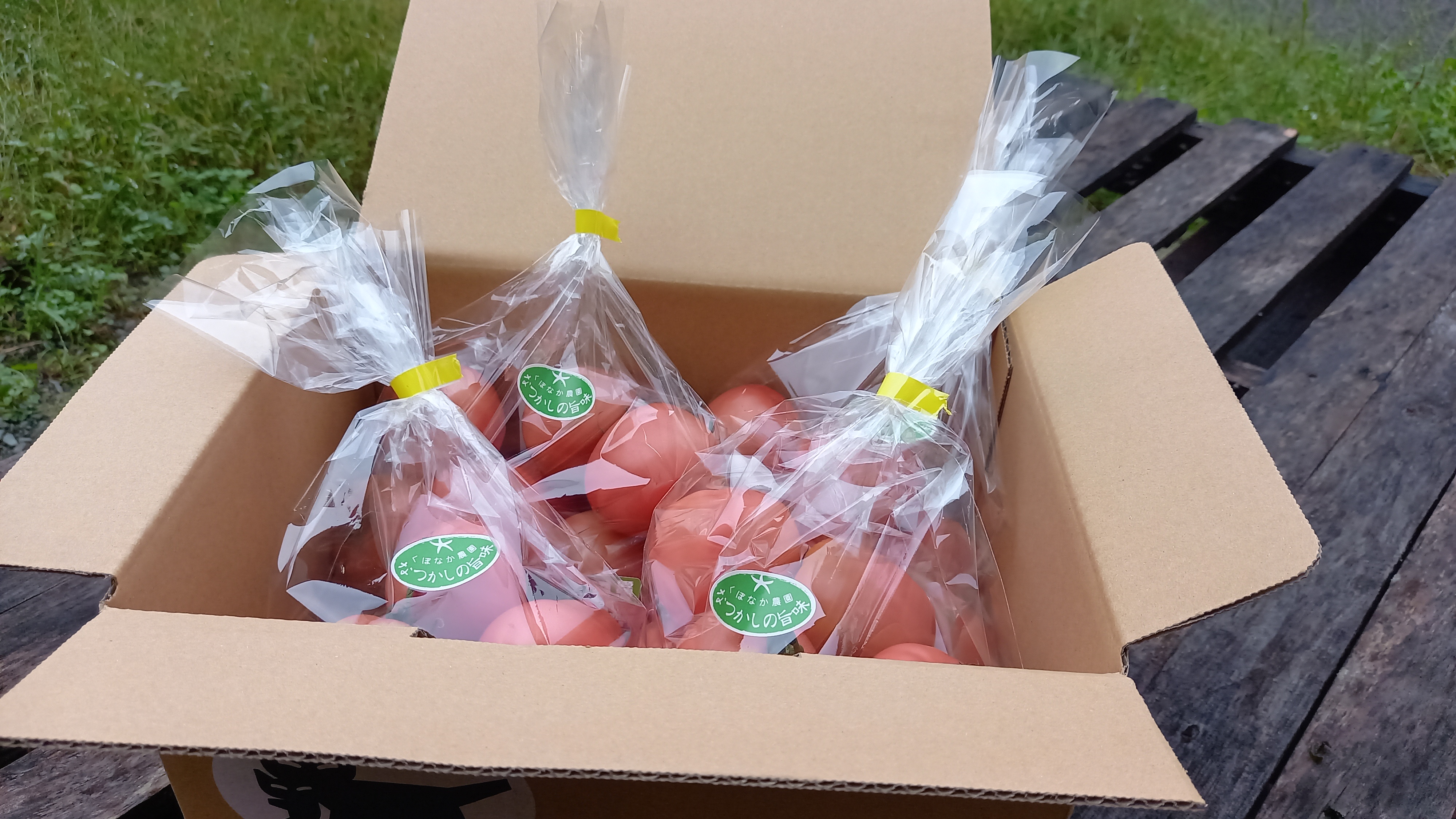 トマト 2kg 500g×4袋 麗月 くぼなか農園 | A66