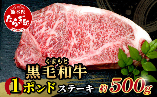 【2月発送】くまもと黒毛和牛 1ポンド ステーキ 約500g《 黒毛 和牛 1 pound ステーキ 500g ブランド牛 上質 常備 冷凍 熊本県 》113-0512-02