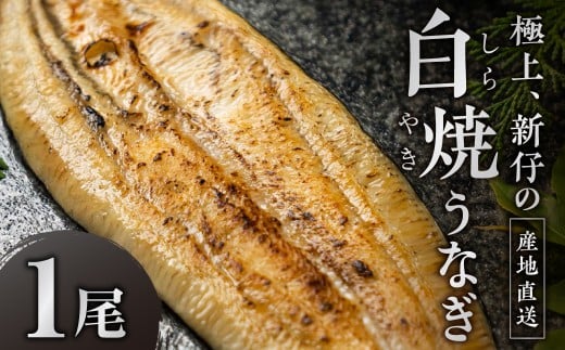 ≪先行予約！ 発送は7月28日以降≫ 極上 豊橋うなぎ 山義養魚の『うなぎ晴々』白焼 希少 厳選 国産 新仔うなぎ 若うなぎ 鰻 簡易包装 ウナギ 鰻 ギフト 配布 最高級 土用丑の日 ギフト 冷凍 お取り寄せ 送料無料 日本酒と わさび 山椒 塩 大人 贅沢