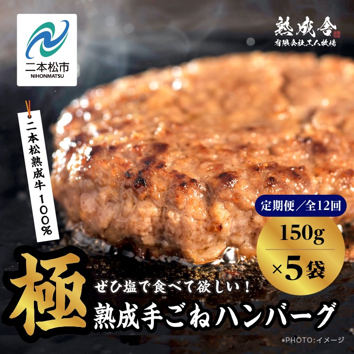 
                  【定期便12回】二本松熟成牛 塩で食べる！手ごねハンバーグ 150g×5袋 全12回 ハンバーグ 和牛 牛肉ハンバーグ 冷凍 個包装 小分け はんばーぐ ふるさと納税 ランキング 牛肉 ビーフ 挽肉 hannba-gu お肉 リピーター にく ミンチ 肉 お弁当 ぎゅうにく【有限会社エム牧場】
                
