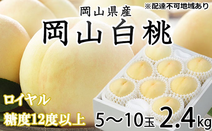 桃 2025年 先行予約 岡山 白桃 ロイヤル 5～10玉 約2.4kg JA おかやま のもも（早生種・中生種） もも モモ 岡山県産 国産 フルーツ 果物 ギフト