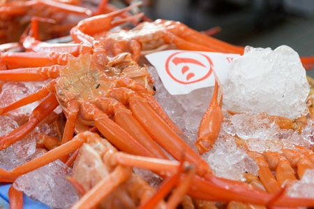 【訳あり】蟹屋の釜茹で紅ずわい蟹1.8kg箱詰めセット 冷蔵 「老舗 蟹専門店マルツ」