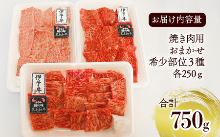 ★希少部位★ 伊予牛絹の味 焼肉 おまかせ3種盛 250ｇ×3種類 (冷凍)　 伊予牛 焼き肉 食べ比べ 黒毛和牛 希少部位