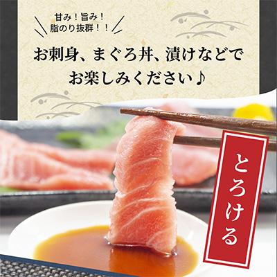 ふるさと納税 松浦市 鷹島産本まぐろ　中トロ赤身合わせて350g　まぐろ丼のタレ付き |  | 02