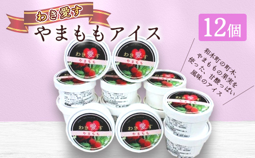 
                  アイスクリーム「わき愛す」やまもも　12個　【1708839】
                
