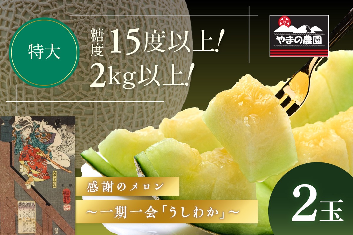 
                  やまの農園 感謝のメロン～一期一会「うしわか」～2玉≪先行予約≫【2027年7月中旬より順次発送予定】
                