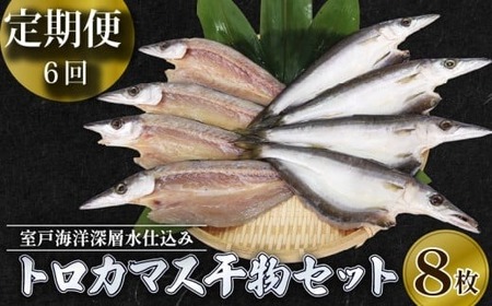 【定期便 6回 寄数月】干物 トロカマス カマス かます 8枚 冷凍 人気 干物 大容量 魚介 海鮮 惣菜 白身魚 室戸海洋深層水 高知県室戸市 ご飯のお供 晩酌 酒の肴 おつまみ 朝食 BBQ キャンプ ギフト 贈答 国産魚 グルメ 送料無料