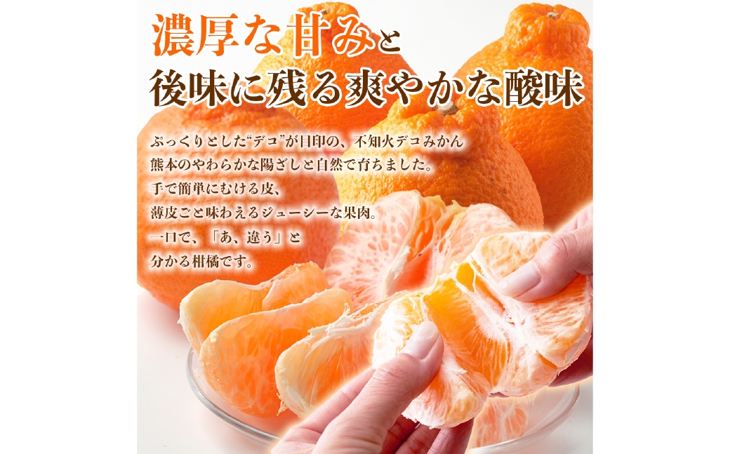 不知火（デコポン同品種）12～24玉約5kg