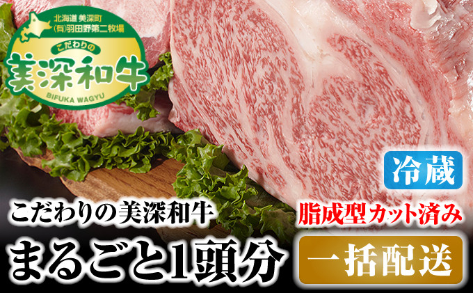 
[№5894-0252]北海道 こだわりの美深和牛1頭分 成型脂カットあり（冷蔵）
