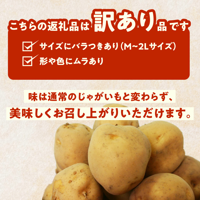 北海道函館産【訳あり】じゃがいも福袋 20kg 詰_HD206-003