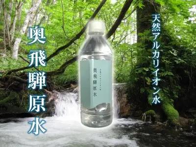 奥飛騨原水500ml × 24本 天然水 飛騨の天然水 飛騨市[B0124]