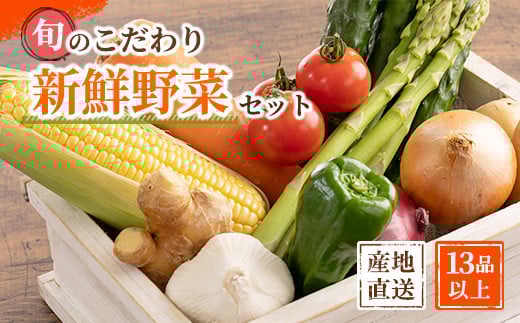 旬の新鮮野菜セット 大満足な13種以上【野菜詰め合わせ】野菜 やさい セット 野菜セット