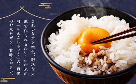 【8ヶ月定期便】らんこし米食べ比べ (ななつぼし・ゆめぴりか) 各2kg	