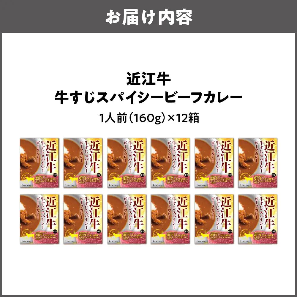 【 京阪百貨店厳選 】近江牛すじスパイスカレー160ｇ×12食セット 牛すじカレー_OS048-0062-03