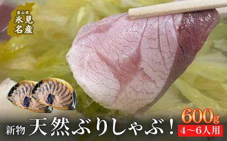【氷見鰤】新物天然ぶりしゃぶ！300ｇ×2パック　2～3人用　満足サイズ  | 鰤 ブリしゃぶ しゃぶしゃぶ 国産 天然 ブリ 富山 氷見 お取り寄せ 特産品 冷凍 肴 氷見漁港 富山湾 天然鰤 鍋 簡単調理 
