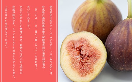 福岡限定!ブランドいちじく「とよみつひめ」約300g×4パック 3V15