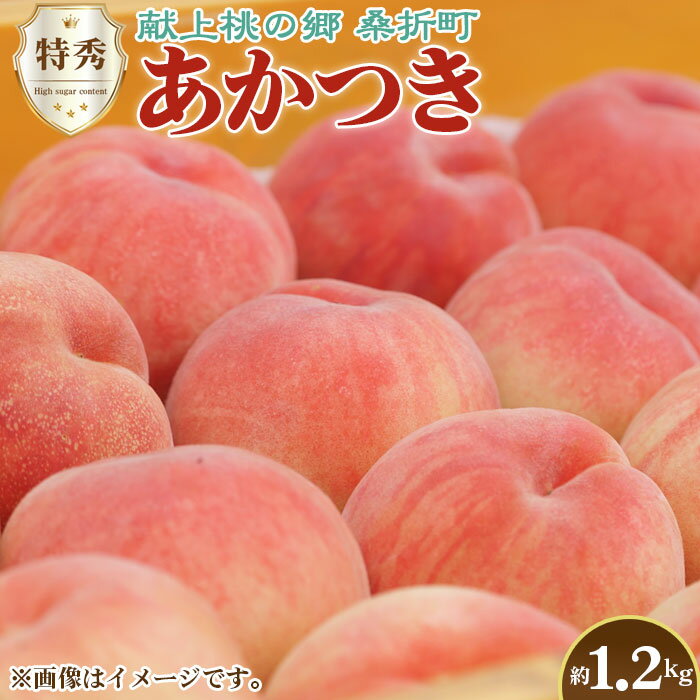 【ふるさと納税】No.224 もも（あかつき）特秀　1.2kg　桑折町産　JAふくしま未来　桃 ／ モモ 果物 フルーツ 送料無料 福島県 特産品