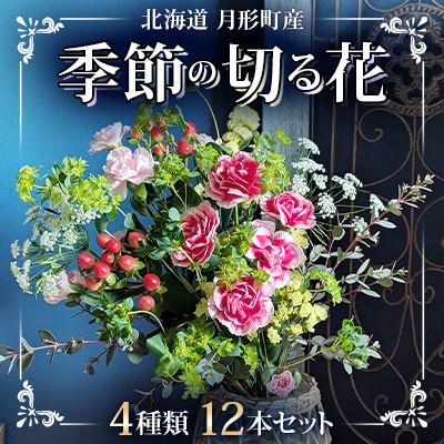 ふるさと納税 月形町 【発送月固定定期便】北海道月形産　季節の切り花12本セット(4種類×3本)8〜10月全3回