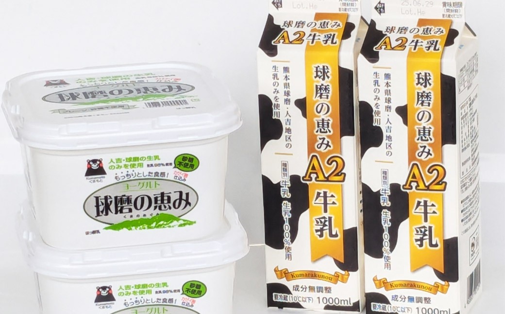 
            球磨の恵み 「A2牛乳とヨーグルト（無糖）」のセット 牛乳1000ml×2パック ヨーグルト1kg×2パック ／ 生乳 牛乳 ミルク ヨーグルト 乳製品 飲料 飲み物 飲みもの のみもの ドリンク おやつ デザート 国産
          