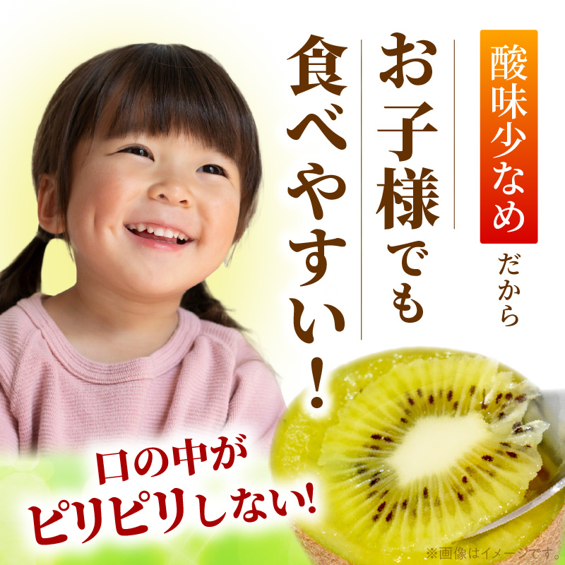 【2026年10月以降お届け】甘うぃ1.5kg箱_甘い キウイ 甘うぃ キウイフルーツ 1.5kg 国産 甘みの強い 果実 黄色味 福岡 オリジナル品種 濃厚 まろやか 高糖度 フルーツ 果物 ヨーグ