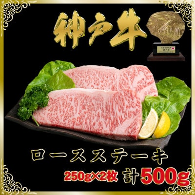 神戸牛(神戸ビーフ)ロースステーキ250g×2枚計500g SOST5【配送不可地域：離島】【1687003】