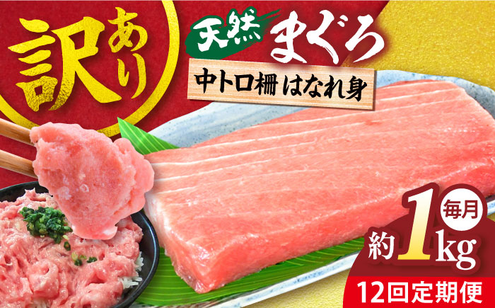 
            【全12回定期便】【訳あり】天然 まぐろ 中トロ はなれ身（約1kg） 鮪 マグロ 魚 刺身 横須賀【横須賀商工会議所 おもてなしギフト事務局（本まぐろ直売所）】 [AKAK064]
          