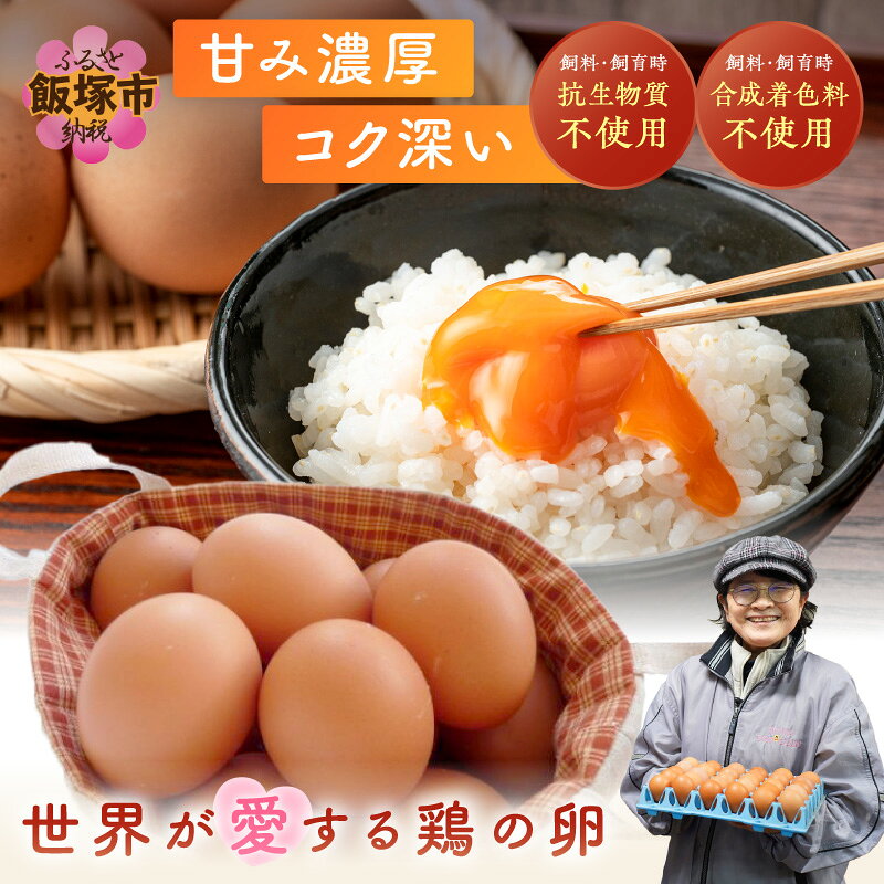 【ふるさと納税】＼お届け回数が選べる／テトラエッグ40個入 1回 3回 6回 12回 定期便 テトラエッグ 生卵 鶏卵 国産 新鮮 卵かけごはん TKG ゆで卵 飯塚 飯塚市 ふるさと納税 卵