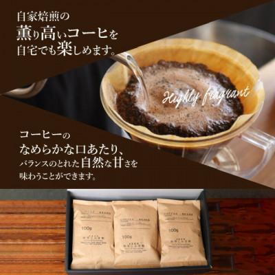 ふるさと納税 奄美市 世界の自家焙煎珈琲豆テイスティングセット　100g×6種類　【豆のまま】 |  | 01