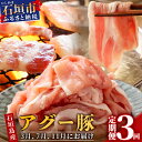 【ふるさと納税】 【定期便】 豚肉 セット 石垣島産 やえやまファームのアグー豚 南ぬ豚 食べ比べ 3回 計2.7kg 切り落とし 1.5kg 焼肉 600g しゃぶしゃぶ 600g ふるさと納税 豚肉 国産 ブランド豚 冷凍 やえやまファーム 沖縄県 石垣市 人気 送料無料 E-30-1