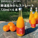 【ふるさと納税】勝浦産みかんストレート 720ml×6本