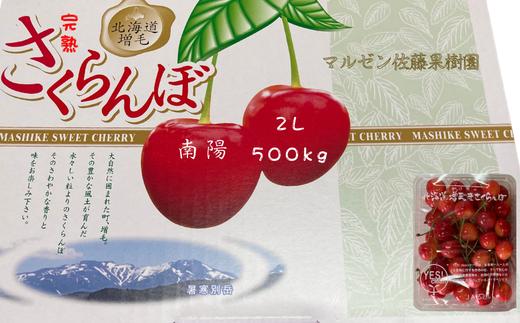 8-011-017　完熟さくらんぼ 南陽（2L）500g【マルゼン佐藤果樹園】