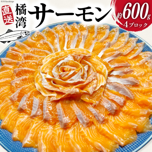 橘湾産 サーモン 刺身 4ブロック ( 約 600g ) [天洋丸 長崎県 雲仙市 item1904] おさしみ用 鮭 お刺し身 刺し身 個包装 海鮮 魚介類 海鮮丼 魚介 魚 国産