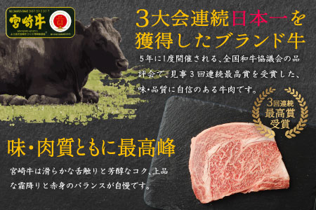 ＜焼肉・バーベキュー＞宮崎牛ロースステーキ(250g×2枚) ※90日以内に発送【C270-24】