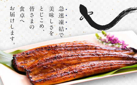 お中元ギフトに最適!【今なら丑の日までにお届け!】＜うなぎ 国産 うなぎ蒲焼 4～5尾 計500g以上＞【c1451_mn】ふるさと納税 うなぎ 高級 長蒲焼 鰻 夏バテ防止 ウナギ 鰻 かば焼き 蒲