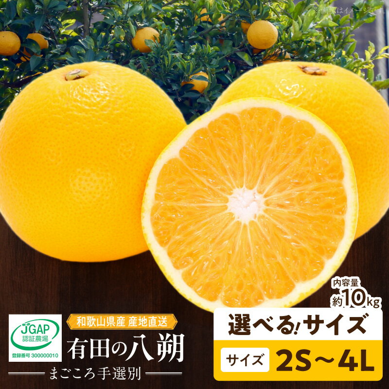 【ふるさと納税】【限定】 和歌山県産 有田の はっさく 約 10kg 選べる サイズ 2S ～ 4L 【まごころ手選別】