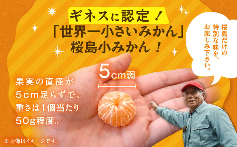【訳あり品】旬の朝採り！鹿児島桜島小みかん 1箱　K343-003
