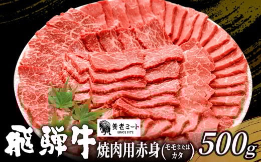 【3月発送】 贅沢！ 飛騨牛 モモまたはカタ 焼肉用 500g 2～3人前 牛肉 和牛 肉 焼肉 BBQ 霜降り カルビ 赤身 モモ カタ 東白川村 岐阜 養老ミート