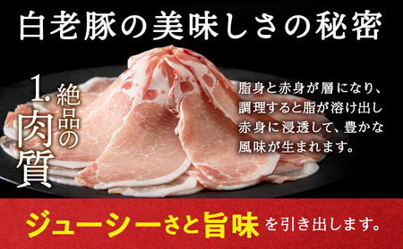 北海道産 白老豚 食べ比べセット（ロース・バラ・肩ロース・モモ各250g） BV020