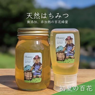ふるさと納税 美濃市 合計900g 深田養蜂の天然蜂蜜 国産蜂蜜 非加熱 生蜂蜜 岐阜県 美濃市産 初夏 B15