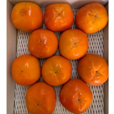 ふるさと納税 有田川町 富有柿　赤秀品　3Lサイズ(9〜10個)　　　　　　　【マルシ農園】 |  | 02