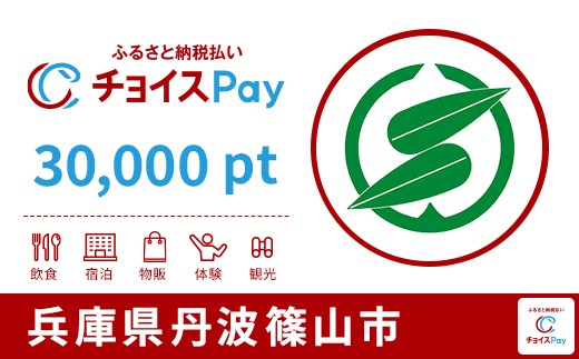 
            丹波篠山市チョイスPay 30,000pt【会員限定のお礼の品】
          