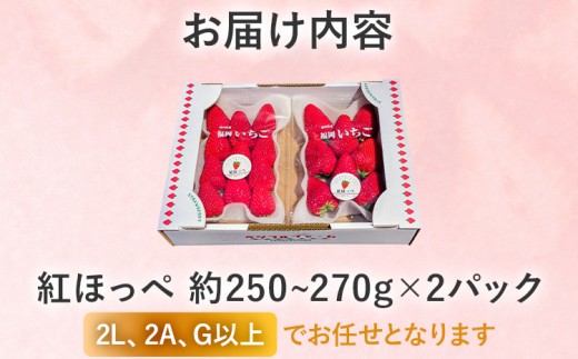 【2027年2月より順次発送】 農家直送　完熟いちご2パック（紅ほっぺ）