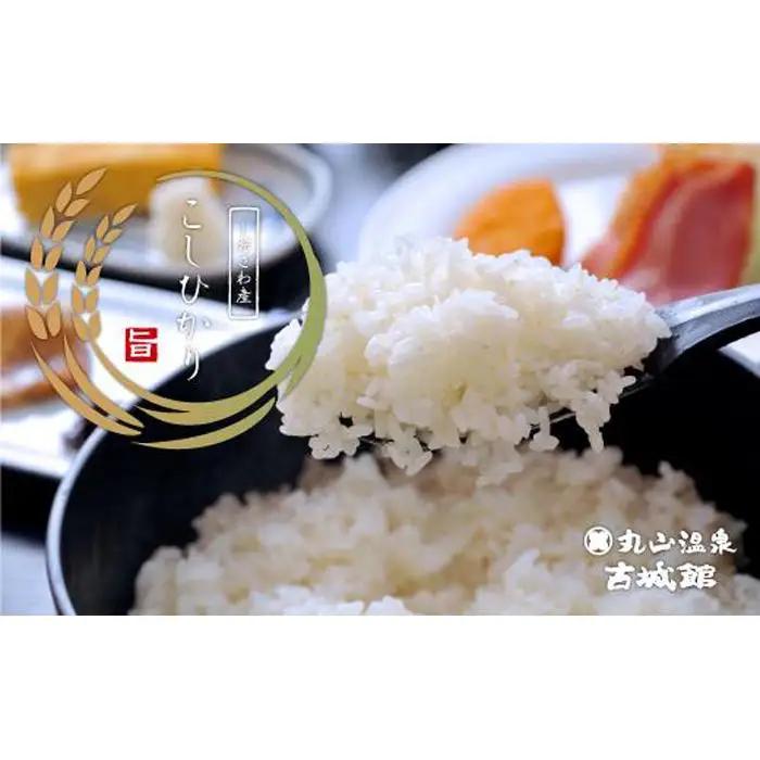 生産者限定  南魚沼しおざわ産コシヒカリ　玄米20kg（10ｋｇ×2個）｜玄米