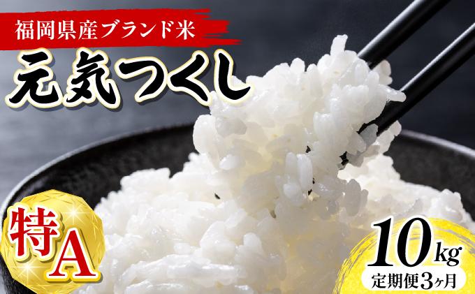 【3ヶ月定期便】福岡県産米 元気つくし 10kg 令和7年産 ※北海道・沖縄・離島は配送不可【精米 7年産 国産 福岡県産 お米 ブランド米 10kg げんきつくし】CY012sub3