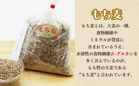 もち麦（ダイシモチ） 合計2.7kg - 香南市産 食物繊維 ミネラル 豊富 のし もち麦 国産 特産品 yr-0020