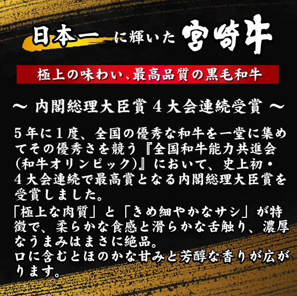 【A4等級以上】宮崎牛 ステーキ＆スライスセット 計1.0kg（牛肉 黒毛和牛 宮崎牛 ステーキ）_イメージ4