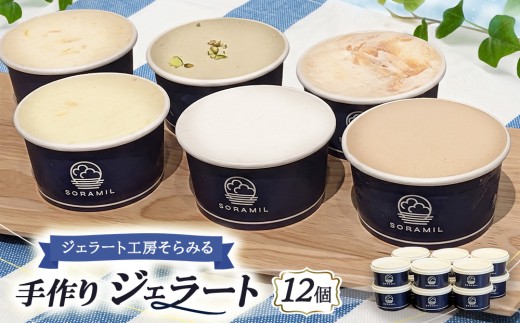 橿原　手作りジェラート12個セット